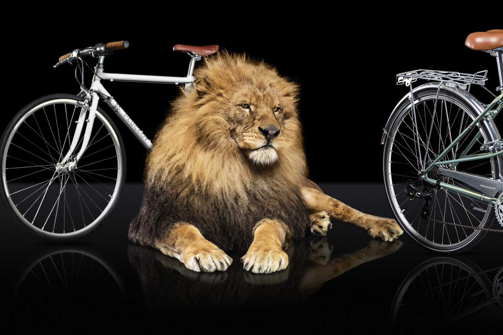 Romain Recht - Retoucheur Photos - Campagne Peugeot Cycle Lion