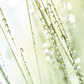 Romain RECHT – Retoucheur Photo Texture et Matière - PARIS