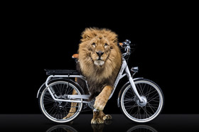 Romain Recht - Retoucheur Photos - Campagne Peugeot Cycle Lion