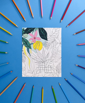 Romain RECHT – Retoucheur Photo Réseaux Sociaux - PARIS - CAMPAGNE CLARINS