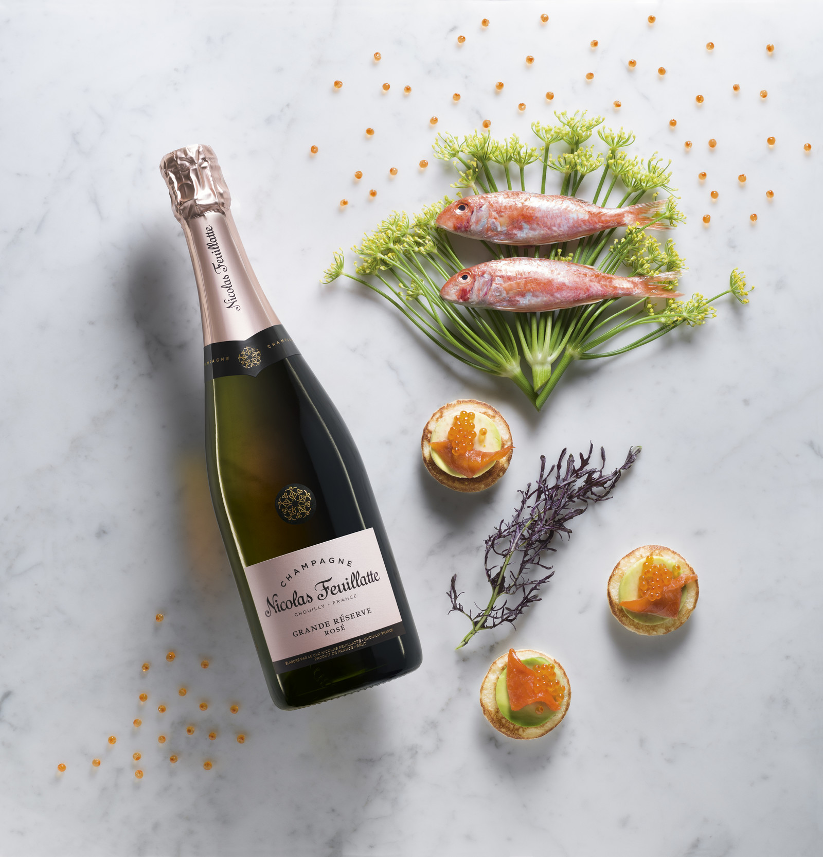 Romain Recht - Retoucheur Photos Champagne