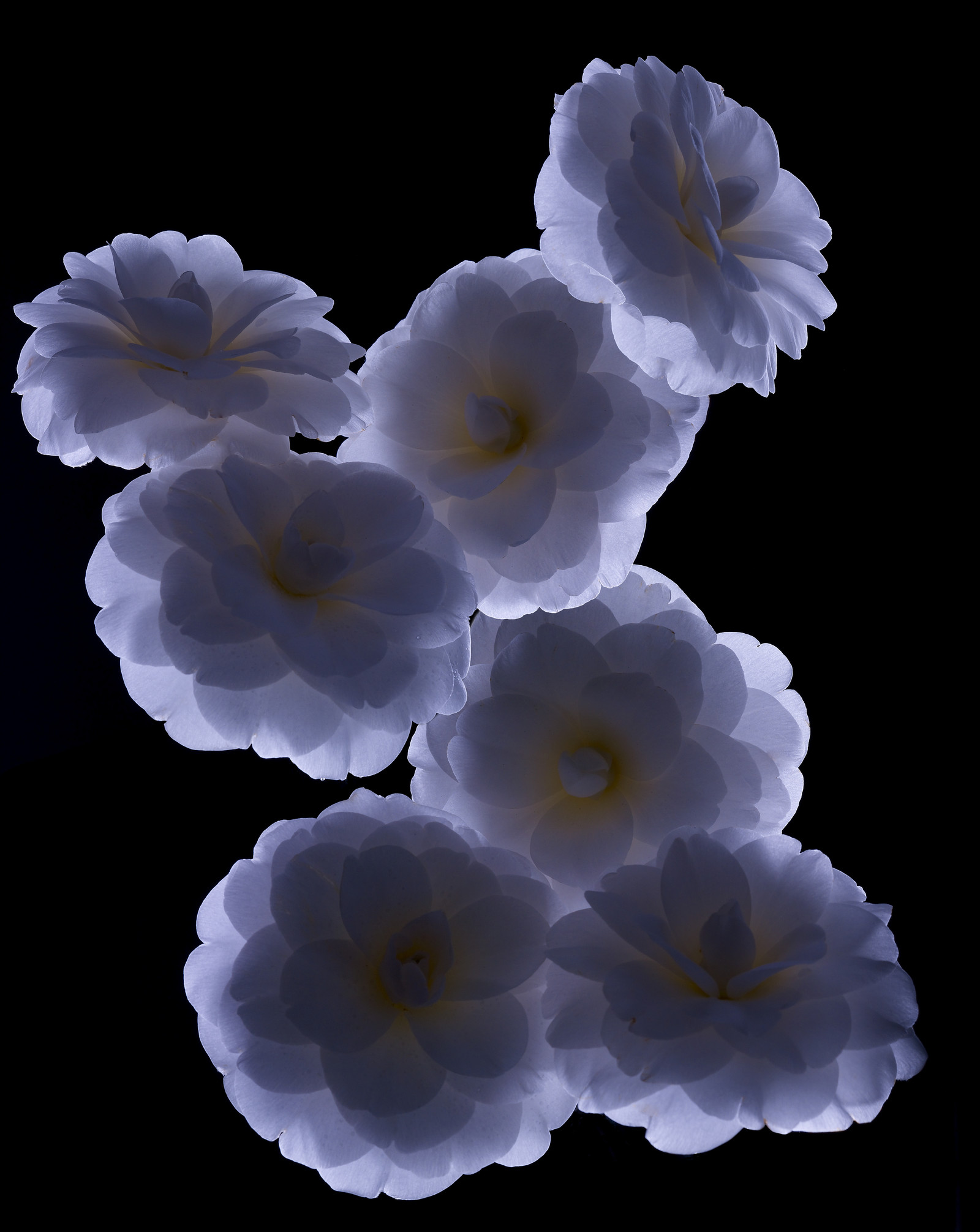 Romain RECHT – Retoucheur Photo Texture et Matière - PARIS