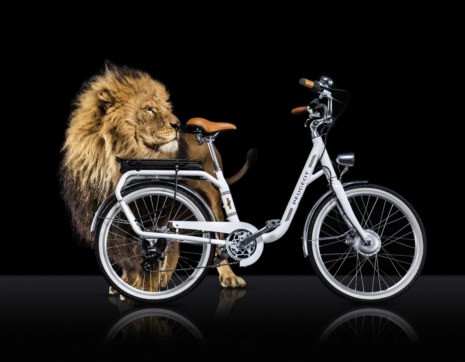 Romain Recht - Retoucheur Photos - Campagne Peugeot Cycle Lion