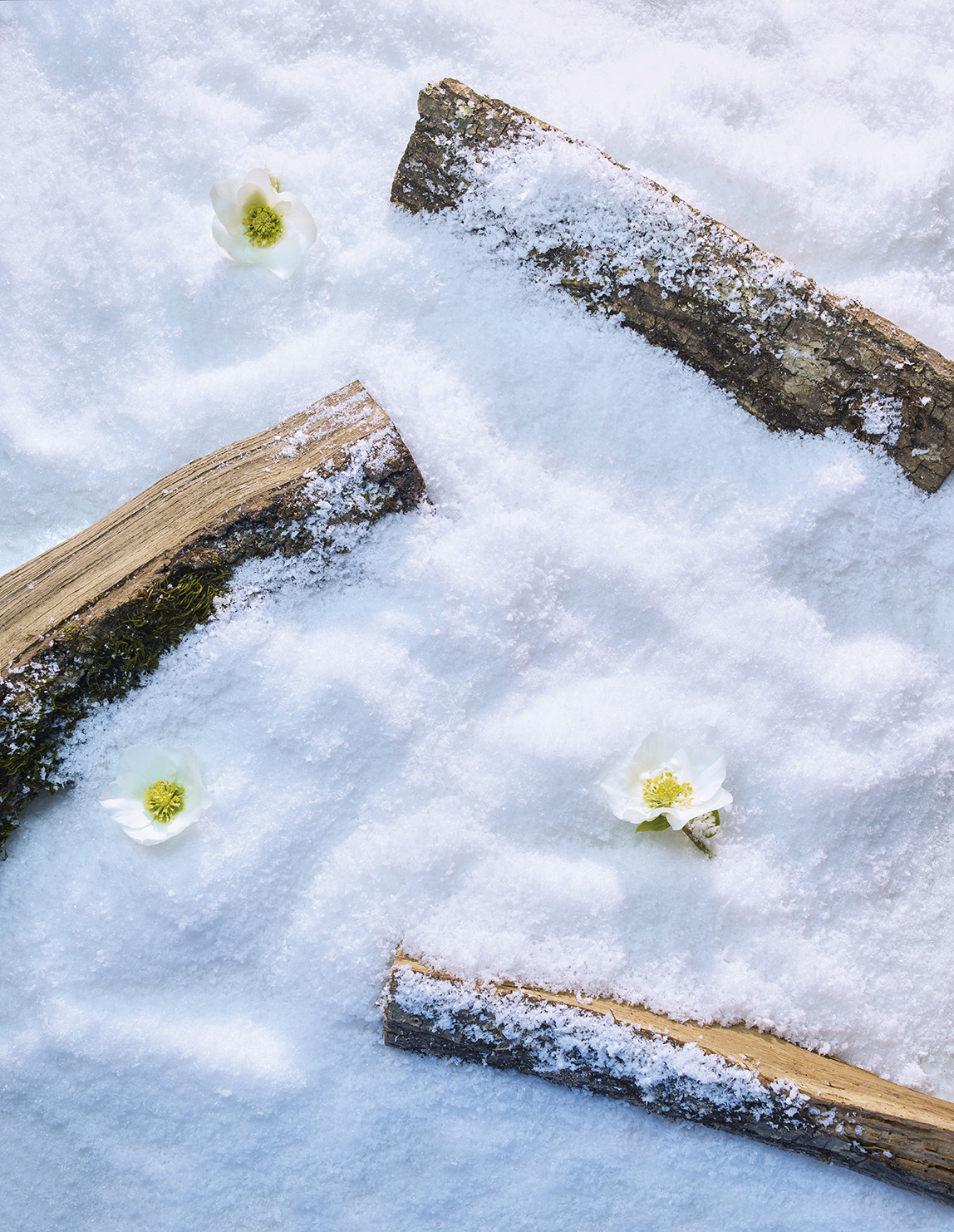 Romain RECHT – Retoucheur Photo Réseaux Sociaux - PARIS - CAMPAGNE CLARINS