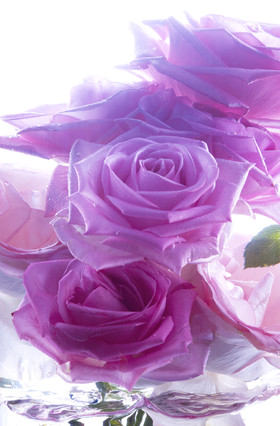 Romain RECHT – Retoucheur Photo Texture et Matière - PARIS