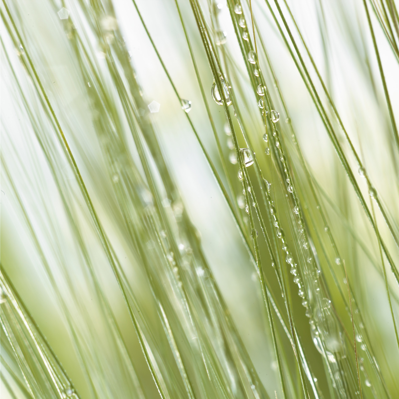 Romain RECHT – Retoucheur Photo Texture et Matière - PARIS