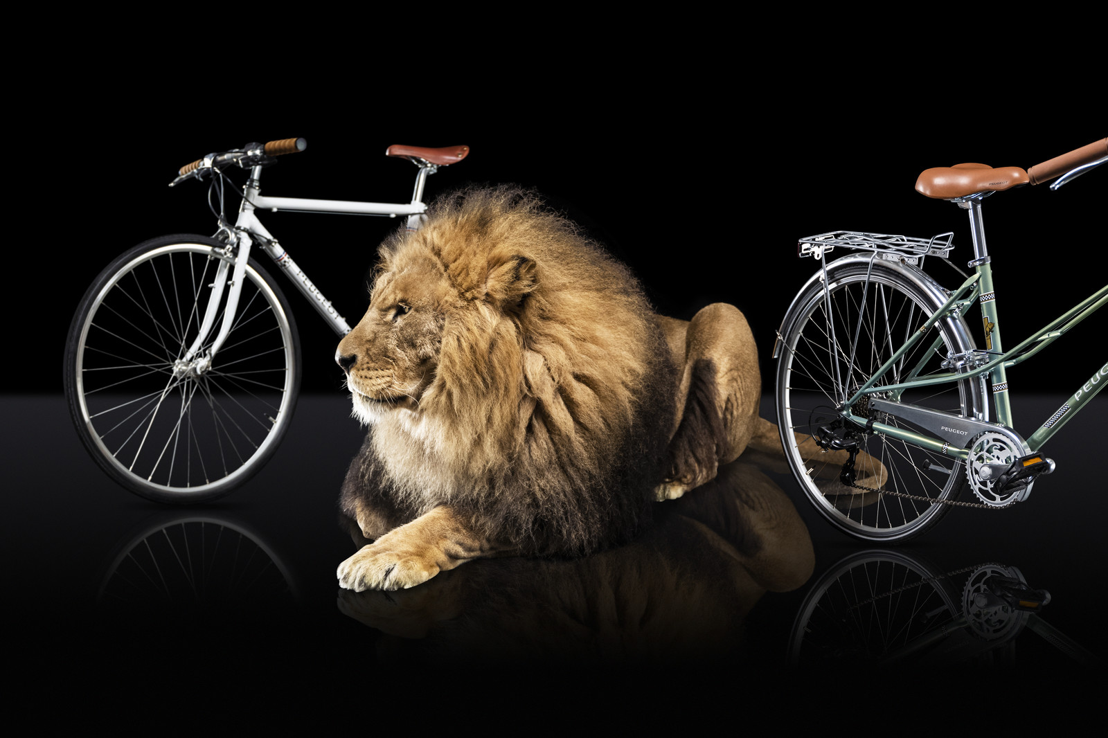 Romain Recht - Retoucheur Photos - Campagne Peugeot Cycle Lion