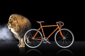 Romain Recht - Retoucheur Photos - Campagne Peugeot Cycle Lion