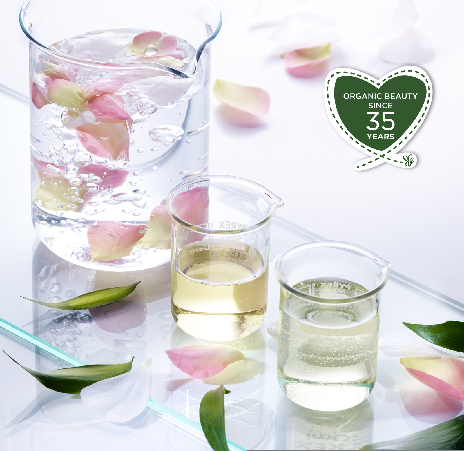 Romain RECHT – Retoucheur Photo Réseaux Sociaux - PARIS - CAMPAGNE MELVITA