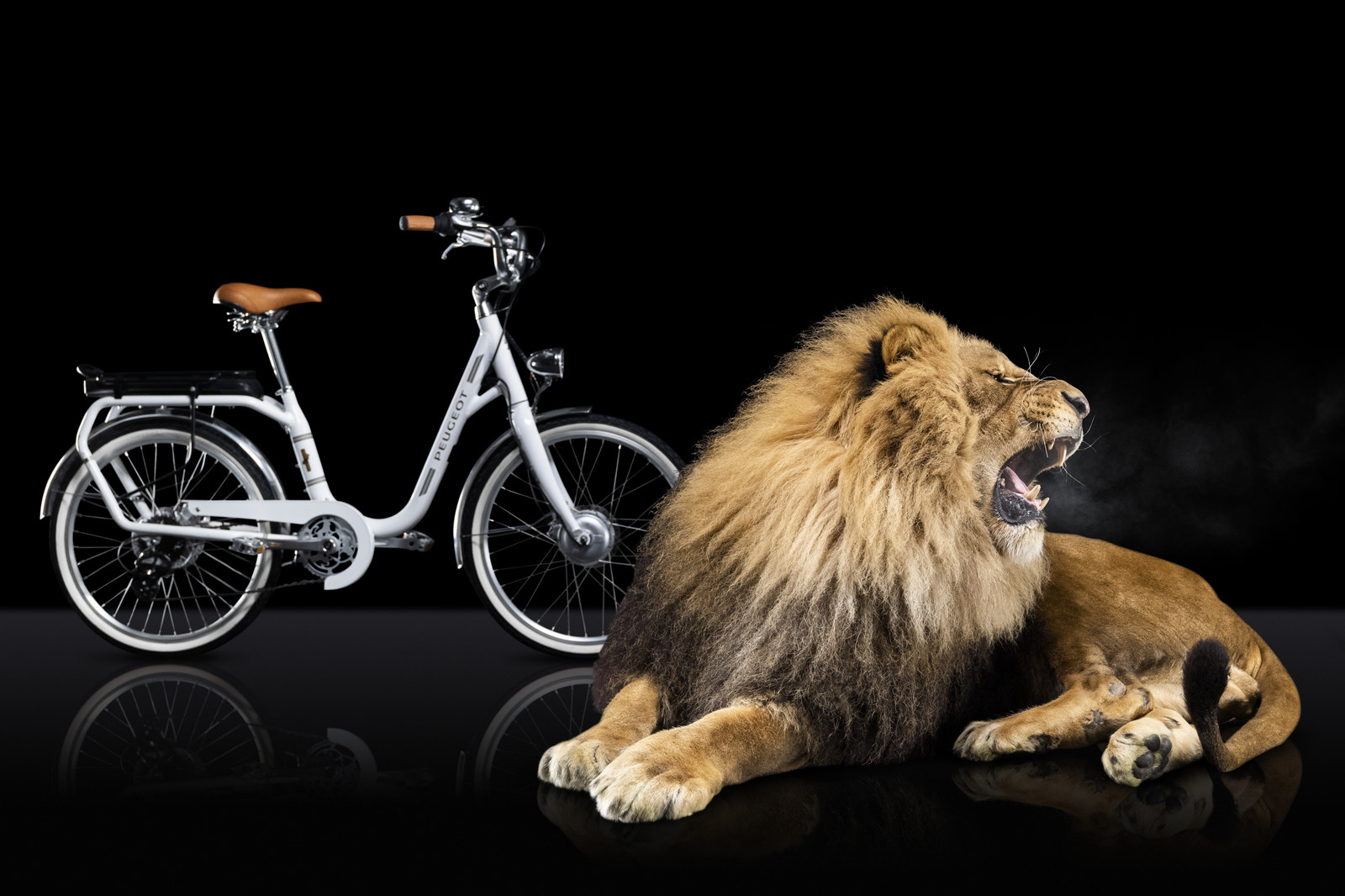 Romain Recht - Retoucheur Photos - Campagne Peugeot Cycle Lion