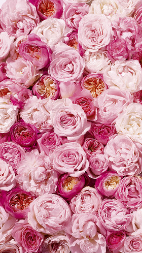 Romain RECHT – Retoucheur Photo Réseaux Sociaux - PARIS - CAMPAGNE CLARINS