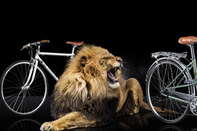 Romain Recht - Retoucheur Photos - Campagne Peugeot Cycle Lion