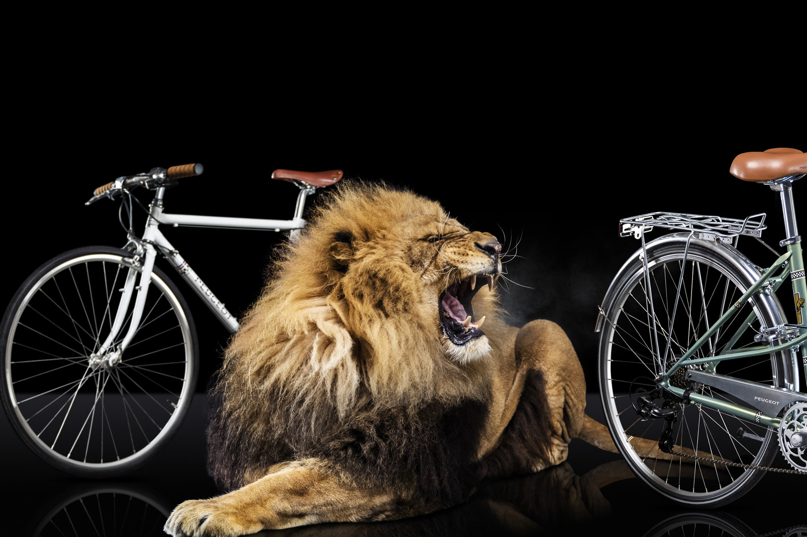 Romain Recht - Retoucheur Photos - Campagne Peugeot Cycle Lion