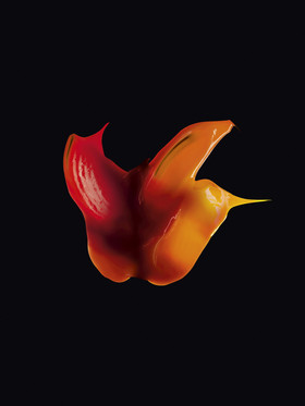 Romain Recht - Retoucheur Photos Textures