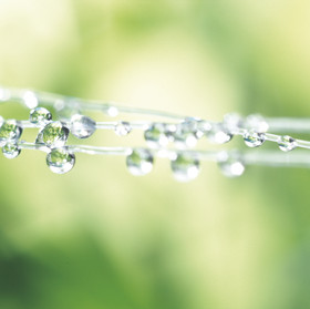 Romain RECHT – Retoucheur Photo Texture et Matière - PARIS