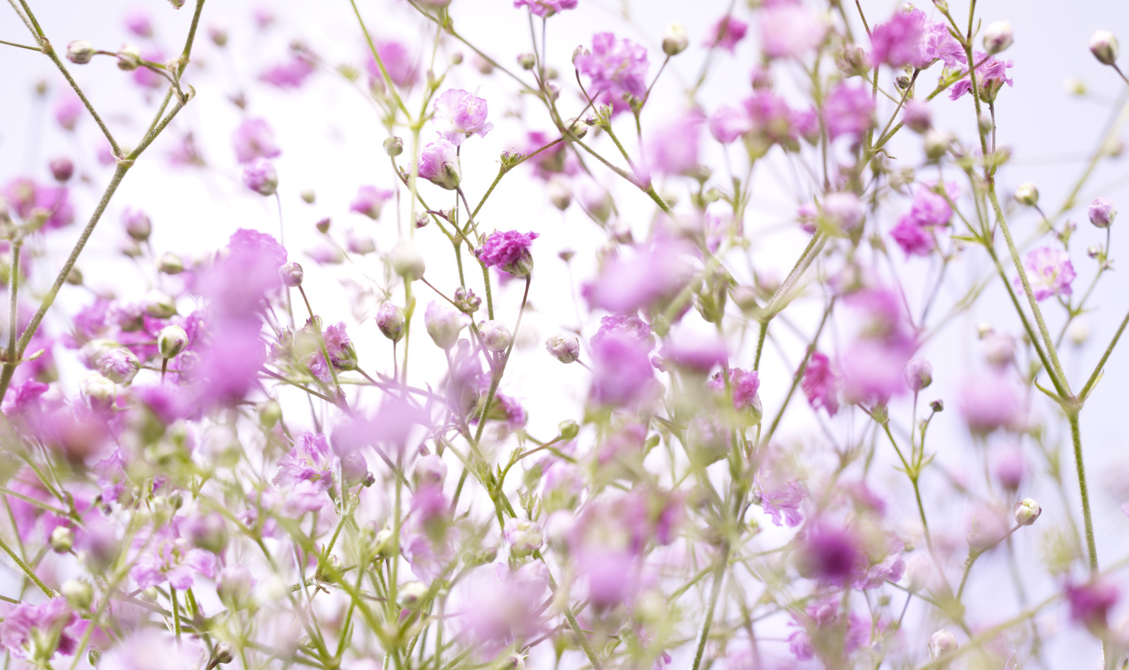 Romain RECHT – Retoucheur Photo Texture et Matière - PARIS