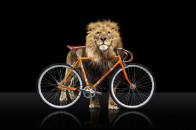 Romain Recht - Retoucheur Photos - Campagne Peugeot Cycle Lion