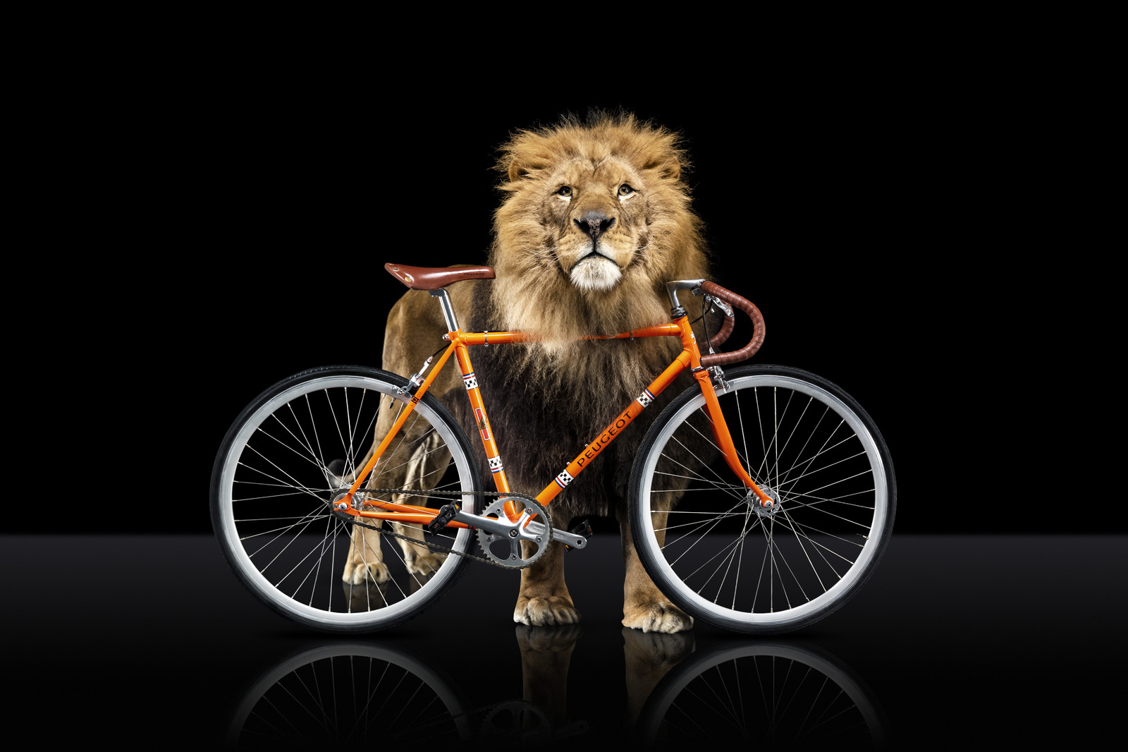 Romain Recht - Retoucheur Photos - Campagne Peugeot Cycle Lion