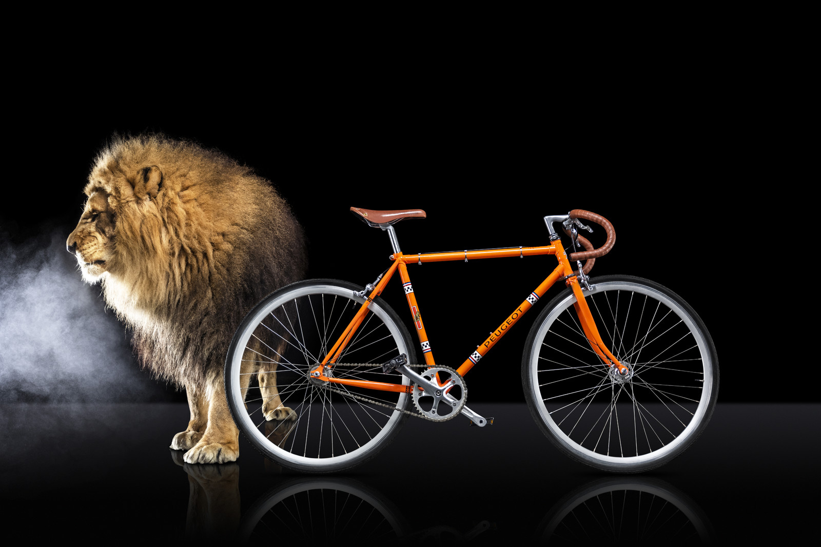 Romain Recht - Retoucheur Photos - Campagne Peugeot Cycle Lion
