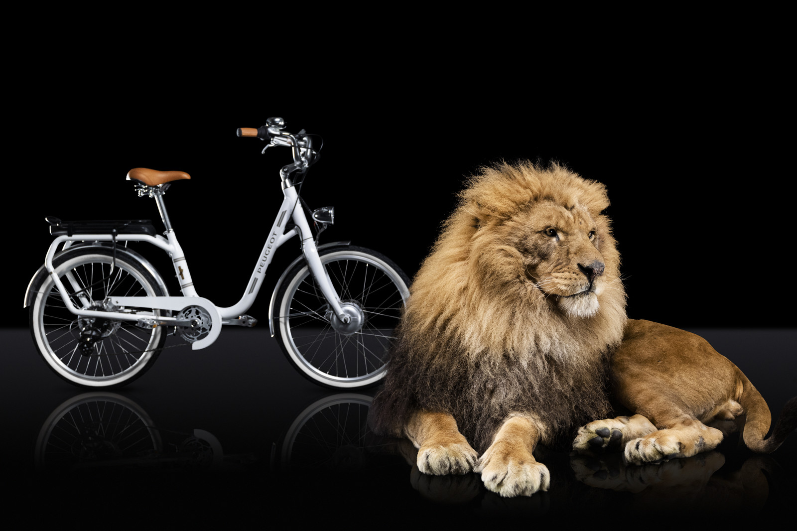 Romain Recht - Retoucheur Photos - Campagne Peugeot Cycle Lion