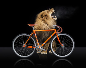 Romain Recht - Retoucheur Photos - Campagne Peugeot Cycle Lion