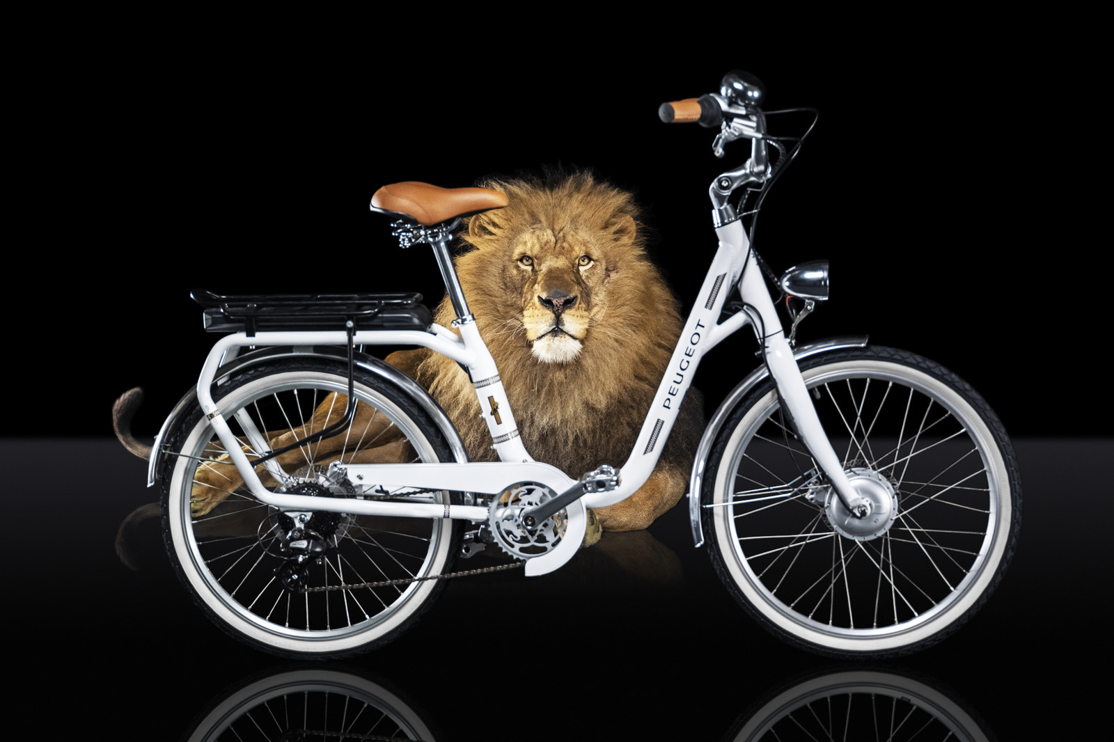 Romain Recht - Retoucheur Photos - Campagne Peugeot Cycle Lion