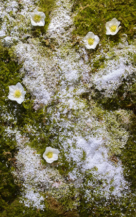 Romain RECHT – Retoucheur Photo Réseaux Sociaux - PARIS - CAMPAGNE CLARINS
