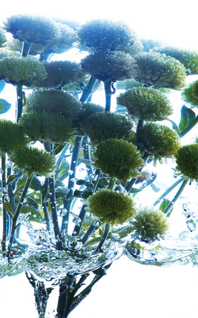 Romain RECHT – Retoucheur Photo Texture et Matière - PARIS