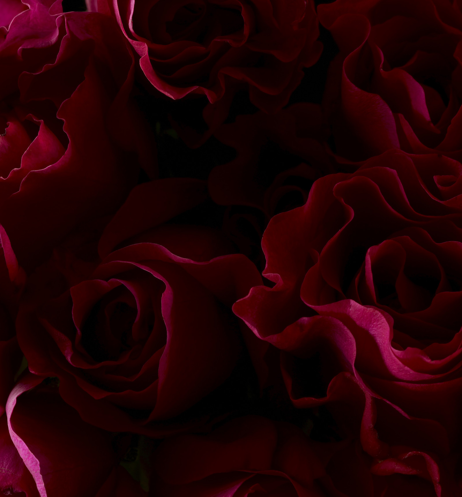 Romain RECHT – Retoucheur Photo Texture et Matière - PARIS